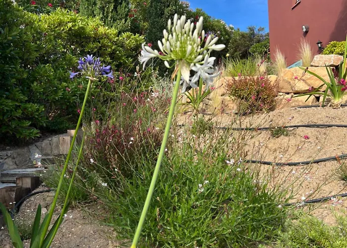 Apartamento Marcelle Sainte-Maxime