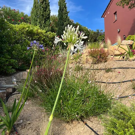 Apartament Marcelle Sainte-Maxime